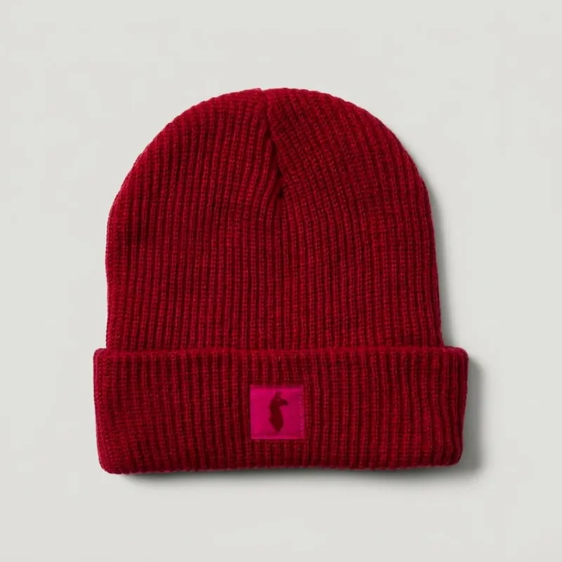 Wharf 2.0 Beanie